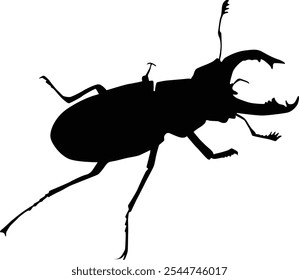 Hand drawn beetle insect full body silhouette illustration