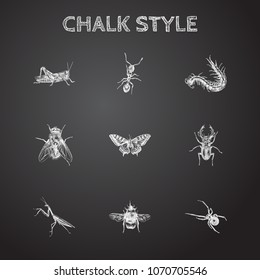 Hand drawn beetle sketches set. Collection of centipede, bumblebee, fly and other sketch elements.