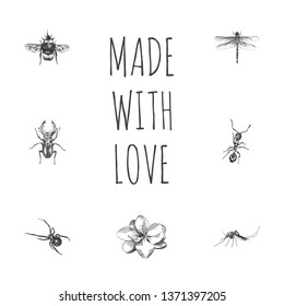 Hand drawn beetle sketches set. Collection of stag beetle, spider, bumblebee and other sketch elements.