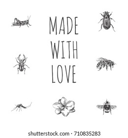 Hand Drawn Beetle Sketches Set. Collection Of Mantis, Insect, Bee And Other Sketch Elements.