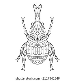 Hand drawn of Beetle in zentangle style