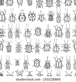 Hand drawn beetles on white background. Vector seamless pattern 