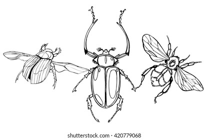 Hand drawn beetles set. Black and white insects for design, icons, logo or print. Drawn with dots.  Stencils Isolated on White Background. Hand drawn engraving Sketch of Scarab Beetle, May bug.