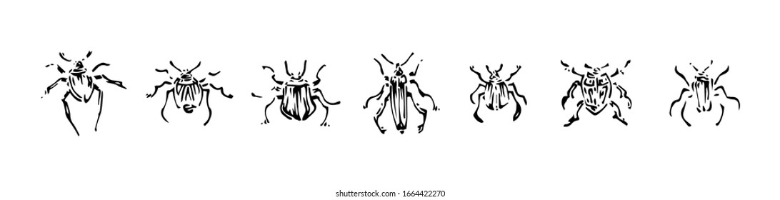Hand drawn beetles set. Sketch style vector illustration. Black isolated bugs insect, design elements on white background.
