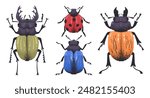 Hand drawn beetles. Wild nature insects, cute bugs, stag beetle, ladybug and leaf bug flat vector illustration set. Doodle little beetles