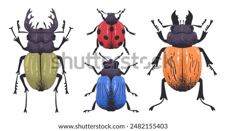 Hand drawn beetles. Wild nature insects, cute bugs, stag beetle, ladybug and leaf bug flat vector illustration set. Doodle little beetles