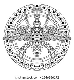 Hand drawn of beetles in zentangle style