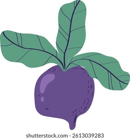 Hand drawn beetroot cartoon illustration