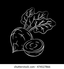 Hand drawn beetroot sketch isolated on black background. Organic food. Vector engraved illustration