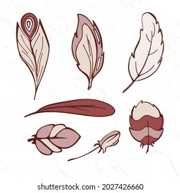 Hand drawn beige and brown stylized feathers vector collection. Set of doodle cartoon feathers.Elements for greeting card and postcard. Vector EPS10 