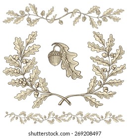 Hand drawn beige oak wreath and branch dividers with acorns with woodcut shading isolated on white background.