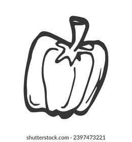 Hand Drawn Bell Pepper. Doodle Vector Sketch