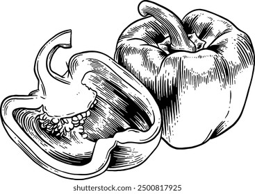 Hand drawn Bell Pepper Sketch Illustration