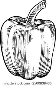 Handgezeichnete Pfeffer Skizze Illustration