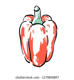 Hand drawn bell pepper vector illustration. Red color with black contour.