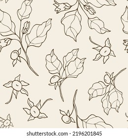 Hand drawn belladonna plant seamless pattern