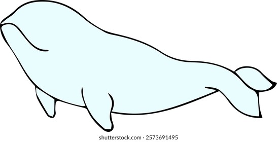 Hand drawn beluga whale. Underwater animal.