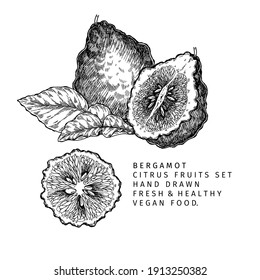 Hand drawn bergamot fruit and leaf. Engraved vector illustration. Sour citrus exotic plant. Summer harvest, jam or cocktail vegan ingredient. Menu, package, cosmetic, food design