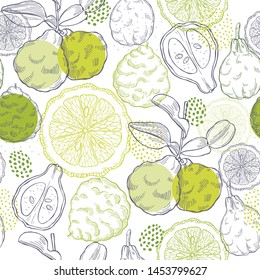 Hand Drawn Bergamot Fruit.  Vector  Seamless Pattern.