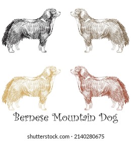 Ilustración del Vector de Perro de Montaña de la Mano dibujada por Bernese. Dibujo Ilustración De Un Perro
