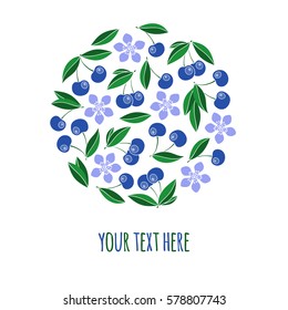 Hand drawn  berries  Doodle Fruit on White Background : Vector Illustration