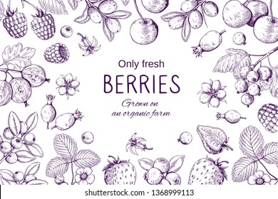 Hand drawn berries frame. Botanical sketch background, wild berry vintage drawing, cherry strawberry blackberry cranberry organic vector set