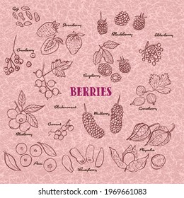 Hand drawn berries icon set illustration collection. Vector isolated line art berry set.