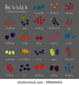Hand drawn berries the
