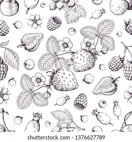 Hand drawn berries pattern. Vintage forest cherry strawberry blackberry cranberry sketch drawing. Vector dessert vintage menu background