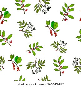 Hand drawn berries plants. Seamless pattern. Vector illustration
