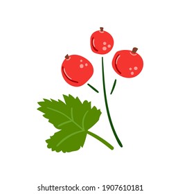 Hand drawn berries of red currant. Modern flat illustration.
