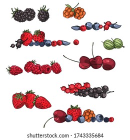 Hand drawn berries set. Currant, strawberry, blueberry, cloudberry, blackberries, cherries. Vector sketch illustration.