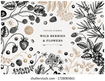 Hand drawn berries vintage banner design. With strawberry, cranberry, currant, bilberry, raspberry, blueberry hand drawings. Berries and flowers sketches template. Engraved style botanical frame.