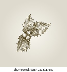 Hand Drawn berry and leaves mistletoe Sketch Symbol isolated on background. Vector of Christmas elements In vintage Style