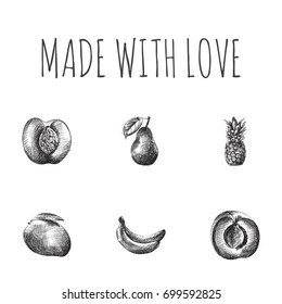 Hand Drawn Berry Sketches Set. Collection Of Tropical Fruit, Duchess, Ananas And Other Sketch Elements.