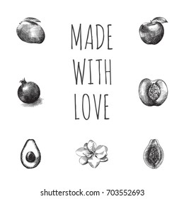 Hand Drawn Berry Sketches Set. Collection Of Garnet, Nectarine, Alligator Pear And Other Sketch Elements.