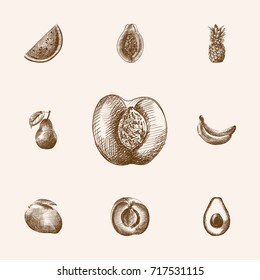 Hand Drawn Berry Sketches Set. Collection Of Tropical Fruit, Ananas, Pawpaw And Other Sketch Elements.