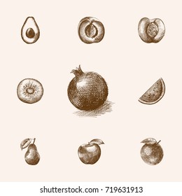 Hand Drawn Berry Sketches Set. Collection Of Alligator Pear, Plum, Jonagold And Other Sketch Elements.