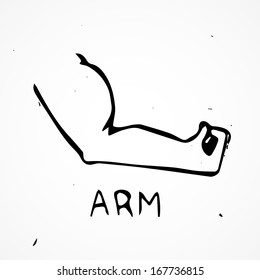 Hand drawn biceps, vector