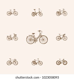 Hand drawn bicycle sketches set. Collection of cyclocross drive, dutch velocipede, retro wheel and other sketch elements.
