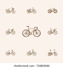 Hand Drawn Bicycle Sketches Set. Collection Of Journey Bike, Retro Drive, Old Style And Other Sketch Elements.