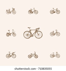 Hand Drawn Bicycle Sketches Set. Collection Of Road Velocity, Training Vehicle, Vintage And Other Sketch Elements.