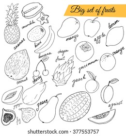 Hand drawn big fruit set. Sketch illustration.