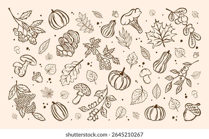 Hand Drawn Big Set Fall Leaves, Mushrooms, Pumpkins, Berries, Maple, Oak, Blueberry, Acorn. Autumn Sketch Fallen leaves Element. Collection Harvest Ink Icons. Vector Autumn Forest Floral Stickers. 