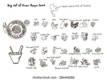 Hand drawn big set of Green Papaya Salad outline vector