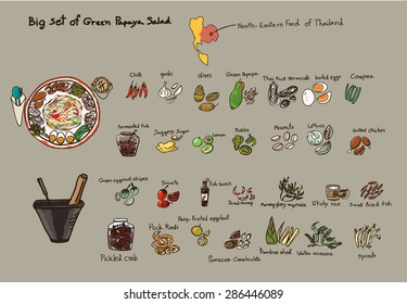 Hand drawn big set of Green Papaya Salad vector