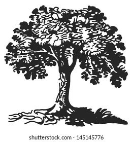 Hand drawn - big tree