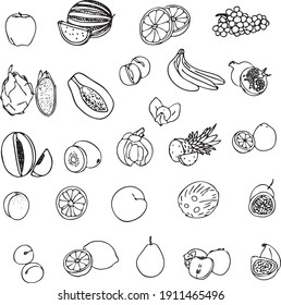 Hand drawn big vector fruit set, black and white, outline, perfect for coloring books