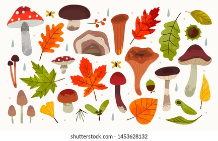 Hand drawn big vector set of various types of mushrooms, autumn leaves, rowan, acorn and chestnut. Colored trendy illustration. Flat design. Stamp texture. All elements are isolated