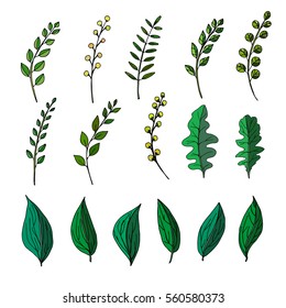 a hand drawn big vector set of green twigs, branches, berries and leaves; a botanical illustration; isolated; collection of vintage elements; good for card, invitation, poster, web page design